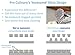 Pro Culinary Garlic Press - Professional Quality Garlic and Ginger Mincer - Dishwasher safe - Silver - Free Recipe Ebook