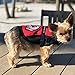Premium Emotional Support Dog Vest | ESA Dog Vest | Mesh Cooling Panel | Emotional Support Dog Harness | Includes 5 Federal Law ESA Handout Cards (9