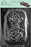 Cybrtrayd K122 Dinosaur Fossil Kids Chocolate Candy Mold