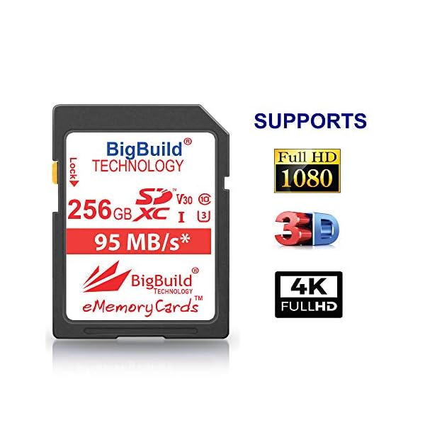 BigBuild Technology 256GB UHS-I U3 95MB/s Speicherkarte für Canon EOS 1200D, 1300D, 2000D, 200D, 4000D, 5DS, 5DS R, 77D… – Bild 4