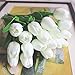 HoYuanFlo Artificial Tulips Single Stem PU Touched 10 Pcs Arrangement Bouquet with Glorious Moral for Home Office Wedding Parties (White)