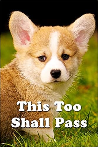 sad corgi