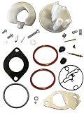 Auto Express Briggs & Stratton 796184 Carburetor Overhaul Kit Replaces 698787 790032