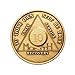 10 Month Bronze AA (Alcoholics Anonymous) - Sober/Sobriety/Birthday/Anniversary/Recovery/Medallion/Coin/Chip.