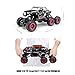 Hosim 6WD RC Rock Crawler, 1:14 Scale 2.4Ghz High Speed 20km/h RTR Off Road Truck Vehicle, All-Terrain 6x6 RC Buggy Climbing Car