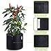 VIPARSPECTRA 6-Pack 5 Gallon Grow Bags Thickened Nonwoven Aeration Fabric Pots Container with Heavy Duty Durable Handles for Garden Indoor Plantsthumb 2