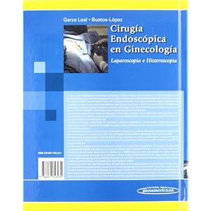 Cirugia endoscopica en ginecologia / Endoscopic surgery in gynecology: Laparoscopia e histeroscopia / Laparoscopy and Hysteroscopy (Spanish Edition)