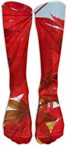 Women'sHip-hop 3D Print Sport BascketBall Thicken Long Socks UnisexAutumn Leaves LK