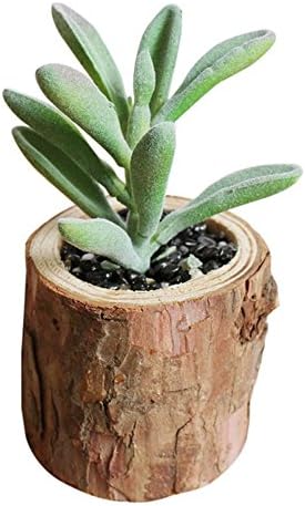 Haotfire Modern Mini Artificial Succulent Plants Potted In Pots For Home Decor