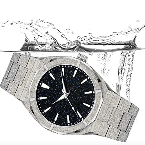 DROCUAMGOYA Men Fashion Analog Quartz Watch Frosted Case Stainless Steel Star Dust Dial 40mm Casual Business Watch for Men Waterproof Luminous (Silver)