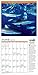 Save Our Sharks 2019 Wall Calendar