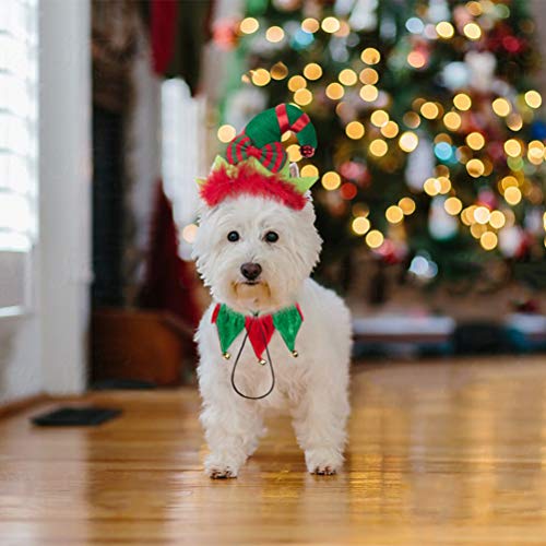 dog elf collar