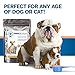 Pawbiotics pet probiotics and enzymes with prebiotics, pumpkin, turmeric, fish oil a natural supplement for dogs and cats (4 ounce)
