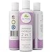 Natural 2 In 1 Shampoo and Bodywash With Lavender And Vanilla - Sulfate Free Shampoo For Hair Growth - Hydrating Body Wash With 100% Pure Lavender Oil - Provitamin B5 - Cruelty Free - 8 Oz - Honeydew