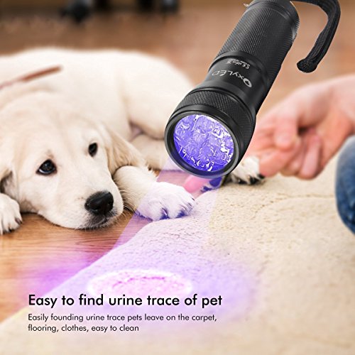 OxyLED 12 Ultraviolet LED UV Light, Pet Urine Stain Detector Blacklight