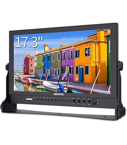Amazon.com: SEETEC P173-9HSD 17.3 Inch 1920x1080 Desktop Monitor