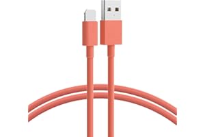 10FT Phone Charger Lig-ning Cable Fast Charging High Speed USB Compatible Phone 14/13/12/11 Pro Max/XS MAX/XR/XS/X/8 (Red)