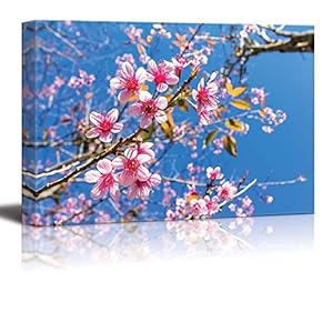 Canvas Prints Wall Art - Sakura in Thailand Canvas for Spa or Home Art | Modern Wall Decor/Home Decoration Stretched Gallery Canvas Wrap Giclee Print. Ready to Hang - 12" x 18"