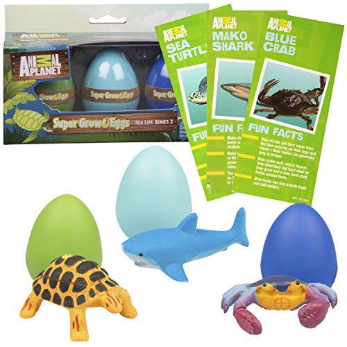 SCS Direct Animal Ocean Sea Creature Eggs 3 Pack Toys Hatch