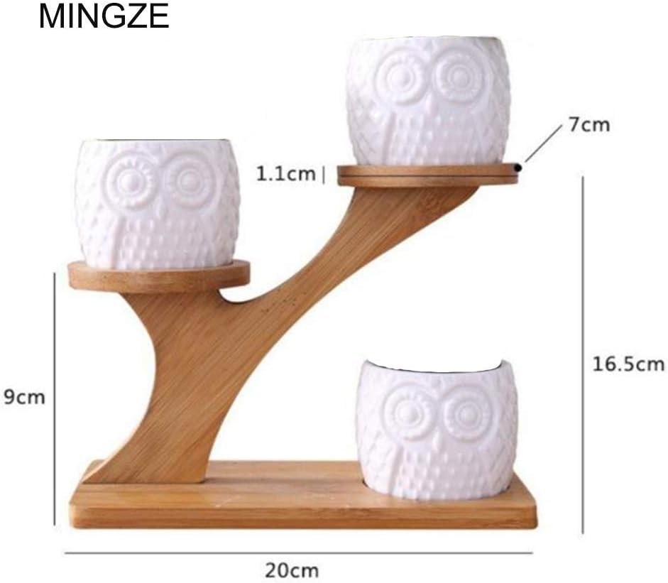 MINGZE 3 Pack Owl Succulent Ceramic Plant Pots for Home Office Desk (With Wooden Stand) - Image 4