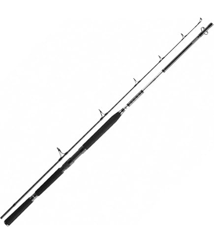 Amazon.com : DAIWA BG Deep Sea XXH, Boat Fishing Rod, 7 Feet 3