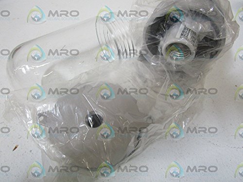 RAB Lighting VXBR100DG Vaporproof VXBR 4" Wall Bracket with Glass Globe and Cast Guard, A19 Type, Aluminum, 150W Power, 1/2" Hub, Natural
