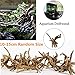 Hamiledyi Aquarium Driftwood Natural Wood Driftwood Branches Reptiles Aquarium Decoration Assorted Fish Tank Plant Stump Ornament Decor 4 Packthumb 2