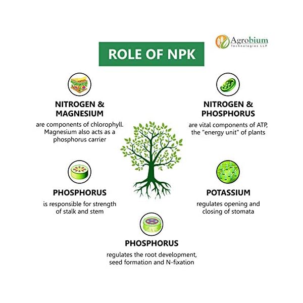Agrobium's Fertilizer for Flower Growth, NPK Nitrogen Phosphorus & Potassium Fertilizer (8:25:25), for Vigorous Flower… - Image 7