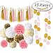 Paxcoo 35 Pcs Pink and Gold Party Supplies with Tissue Pom Tassel Garland for 1st Birthday Baby Girl Shower Decorations