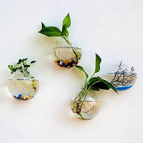 Hanging Plant Flower Glass Ball Vase Terrarium Wall Fish Tank Aquarium Container "15cm" Set35