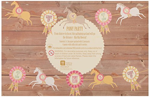 Talking Tables Pony Party Hanging Bunting Banner  for a Birthday Party or General Celebration, Multicolor