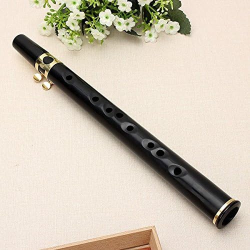 Xaphoon Pocket Sax Alto C Tune Mini Black Saxophone