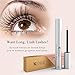 KIPOZI Eyelash Growth Serum Lashes and Brows Enhancer Serum Achieve Longer Fuller And Thicker Looking, 5ml