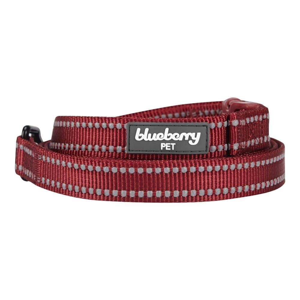 Blueberry Pet Durable 3M Reflctive Dog Lead 120 cm x 2.5cm in Marsala Red, Large, Leads for Dogs, Matching Collar Available Separately