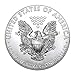 USA 2019 $1 American Silver Eagle Coin .999 Fine 1 Troy Ounce - Brilliant Uncirculated Bullion
