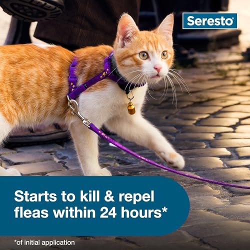 SERESTO CAT VET-RECOMMENDED FLEA & TICK TREATMENT & PREVENTION COLLAR FOR CATS | 8 MONTHS PROTECTION