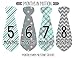 Months In Motion Monthly Baby Tie Stickers - Boy Month Milestone Necktie Sticker - Onesie Month Sticker - Infant Photo Prop for First Year - Shower Gift - Newborn Keepsakes