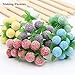 50 Pcs White Foam Balls, Kissbuty 20mm (0.79 inch) Craft Foam Balls Polystyrene Craft Balls Art Decoration Styrofoam Balls for DIY Art Craft, School Projects and Party Decorations