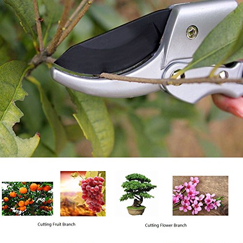 image for chic style Pruning Shears, Tree Trimmer, SK-5 Steel Blade Garden Shear