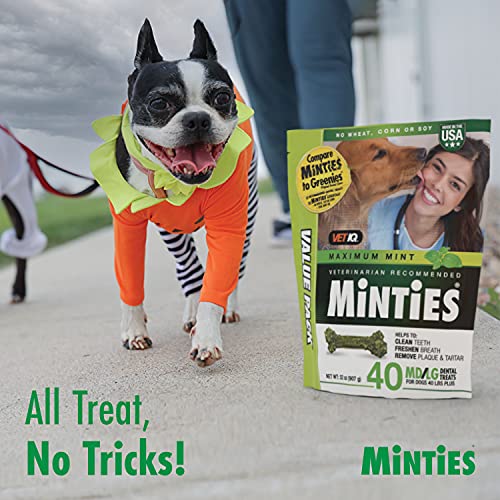Minties VetIQ Dog Dental Bone Treats, Dental Chews for Medium/Large