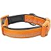 Blueberry Pet Soft & Safe 3M Reflective Neoprene Padded Adjustable Dog Collar - Orange Peel, Large, Neck 18