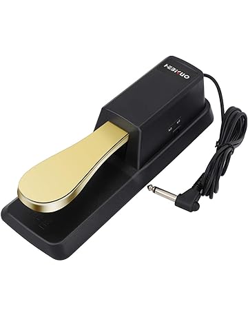 Amazon.es: Pedales - Accesorios para teclados electrónicos ...