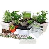 Medicinal & Herbal Tea Indoor Herb Garden Starter Kit | Premium Herb Seeds | 18 Non-GMO Varieties | Seeds: Angelica, Borage, Peppermint, Lemon Mint, Burdock, Anise, Cayenne, More
