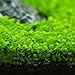 Homedeco Aquarium Glossostigma Hemianthus Callitrichoides Seeds Water Grass Easy Aquatic Live Plant Fish Tank Decoration Landscape Ornament (1 PC, Lucky Grass)