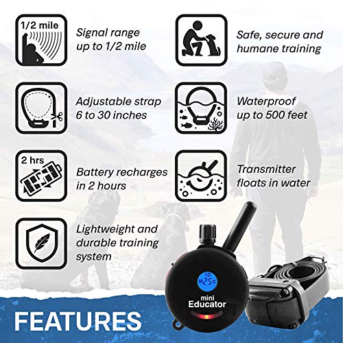 mini educator tone