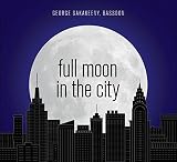 FULL MOON IN THE CITY                              image