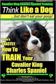 Cavalier King Charles Spaniel Training | Think Like a Dog ...