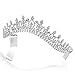 Bridal Wedding Pageant Princess Tiara Crown - Clear Crystals Silver Plating T208