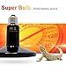 theBlueStone 250 Watt Mini Ceramic Reptile Heat Lamp Bulb E26 No-Light Infrared Heat Emitter for Terrarium Aquarium Amphibian Snake Chickens Brooder Birds Pets