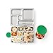 PlanetBox ROVER Eco-Friendly Stainless Steel Bento Lunch Box with 5 Compartments for Adults and Kids - Purple Carry Bag with Fairies Magnets